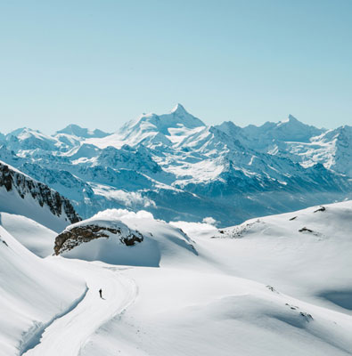 xx mobile phone 16 series _copy_copy_copy